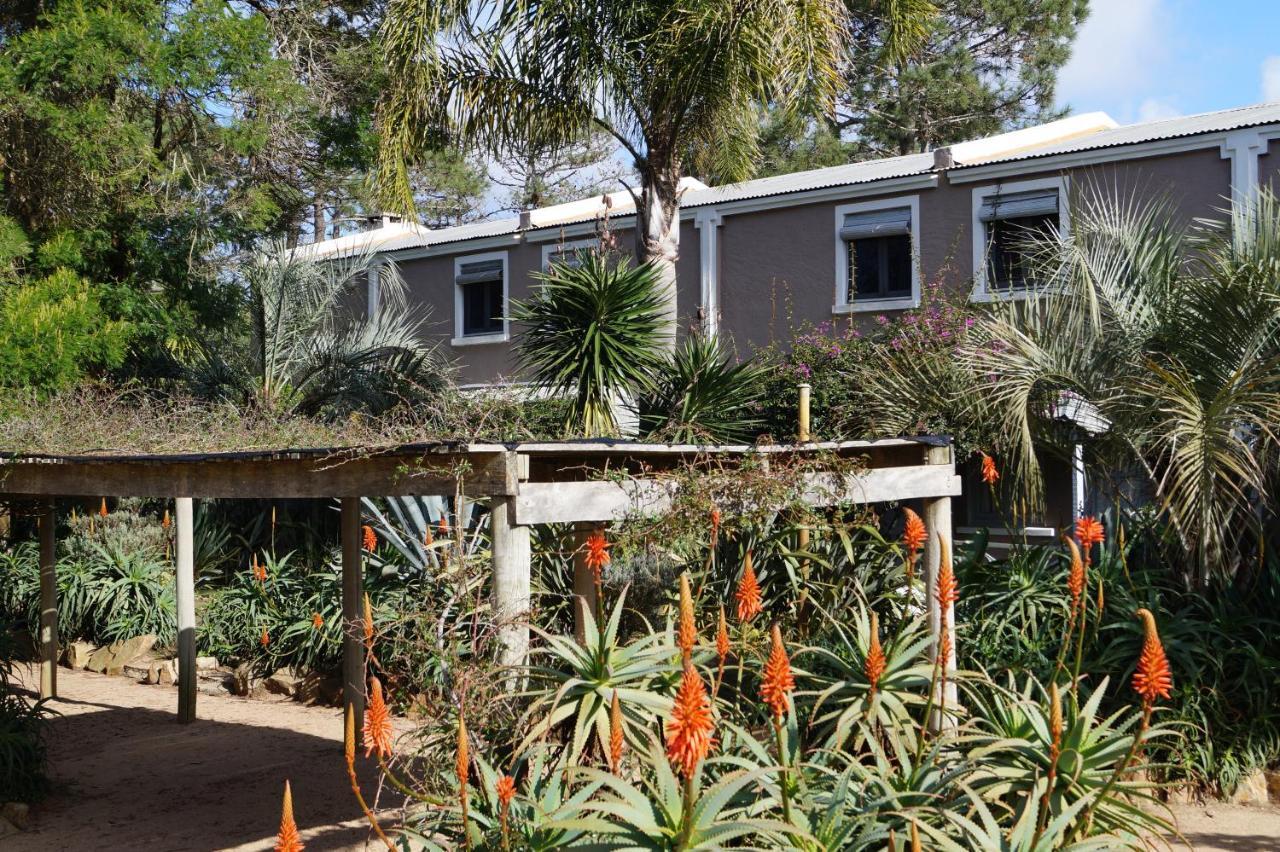 לה פלומה Posada Del Corumba מראה חיצוני תמונה